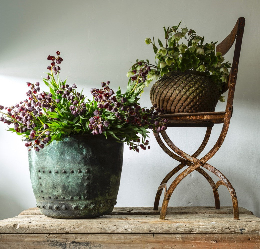 Pots, pets and magic bells