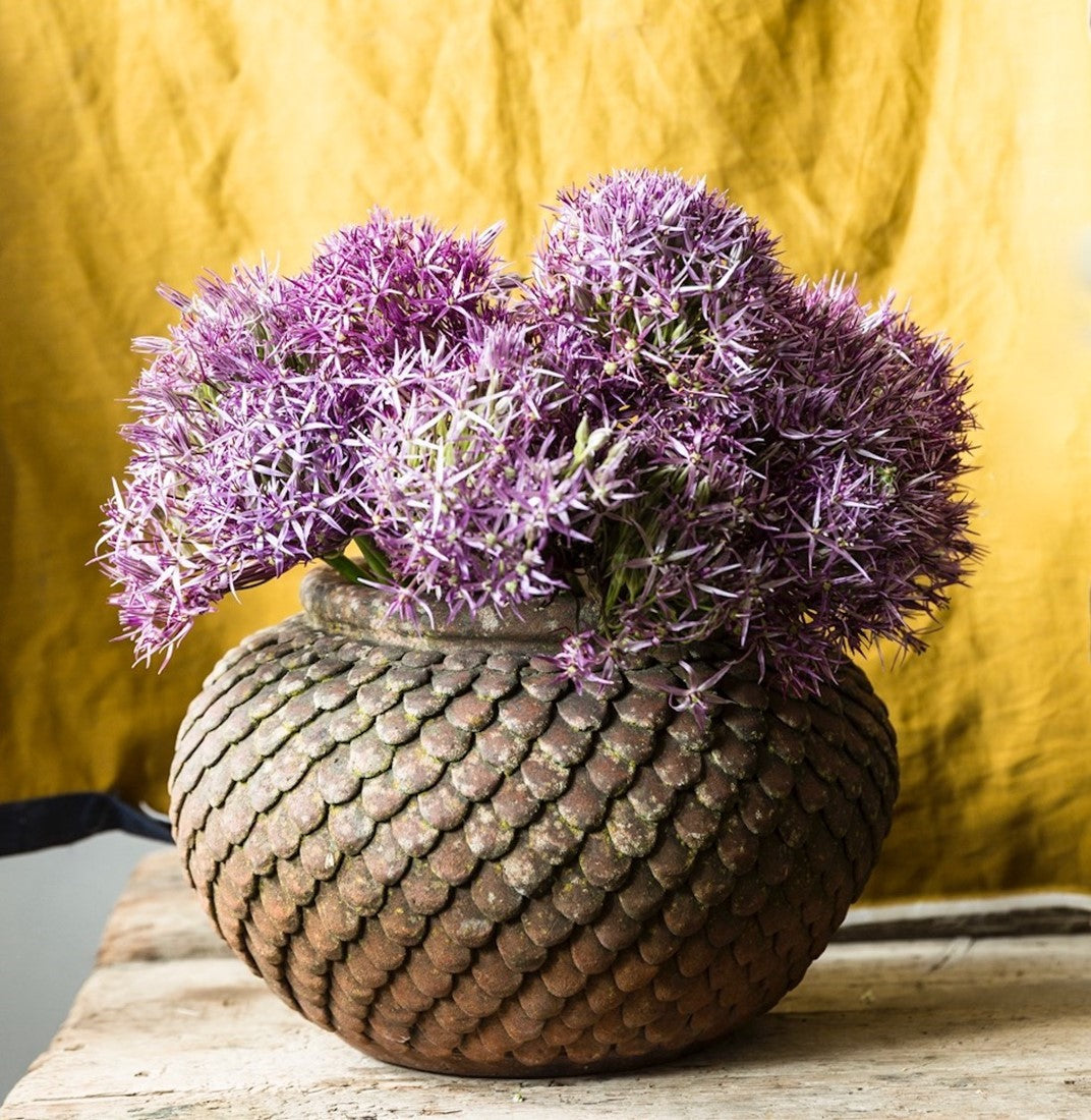 A pair of ‘Sibon’ terracotta pots