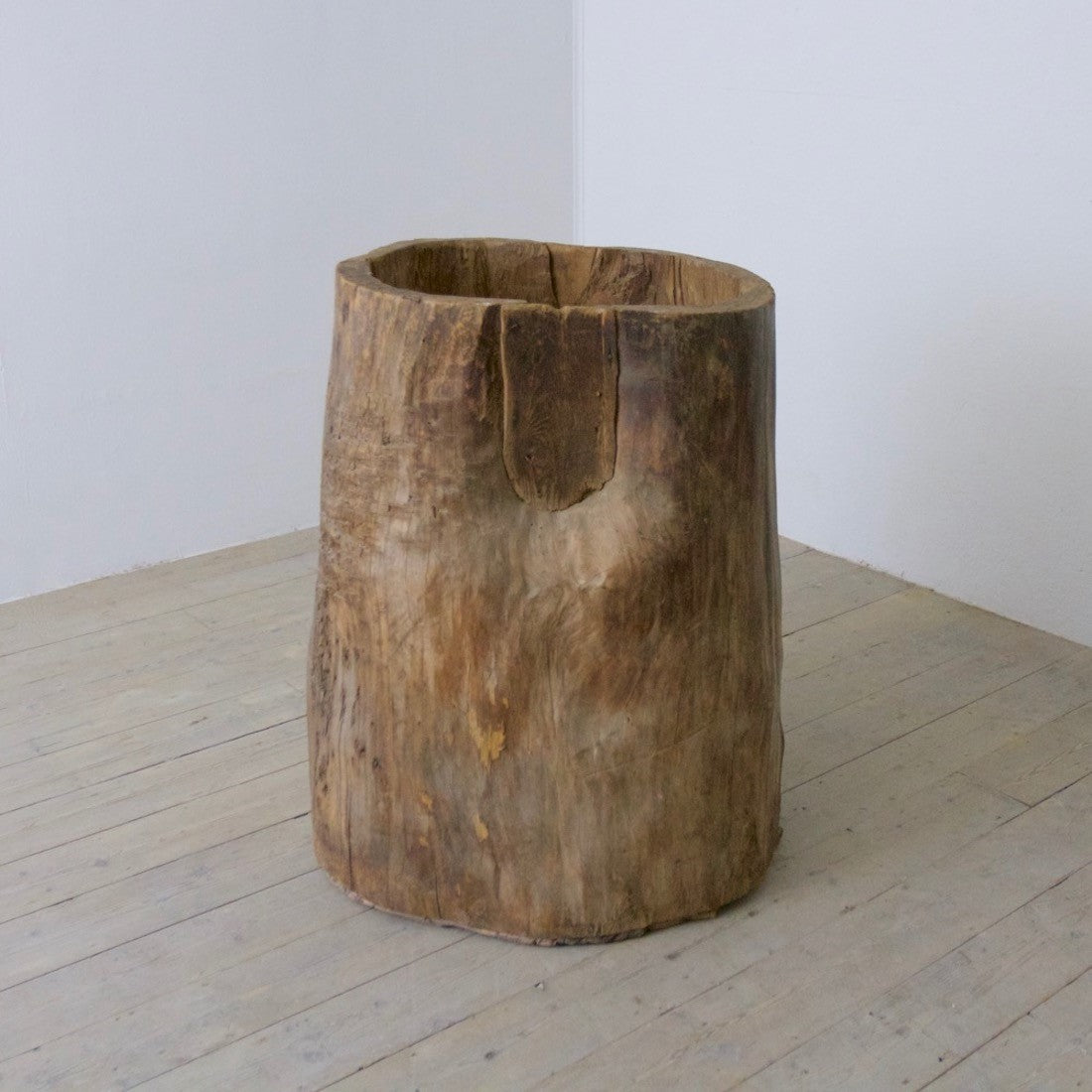A tree trunk grain bin