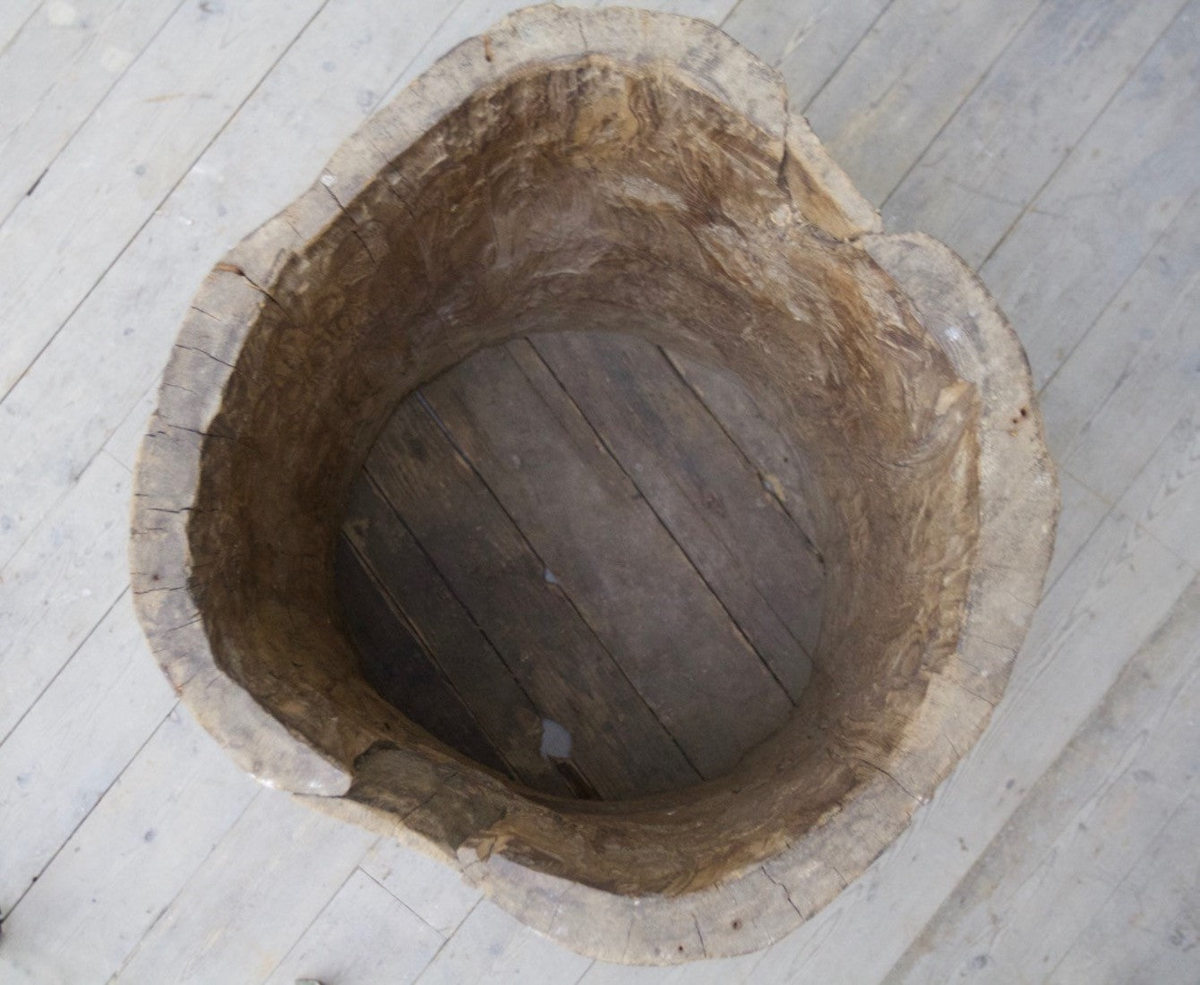 A tree trunk grain bin