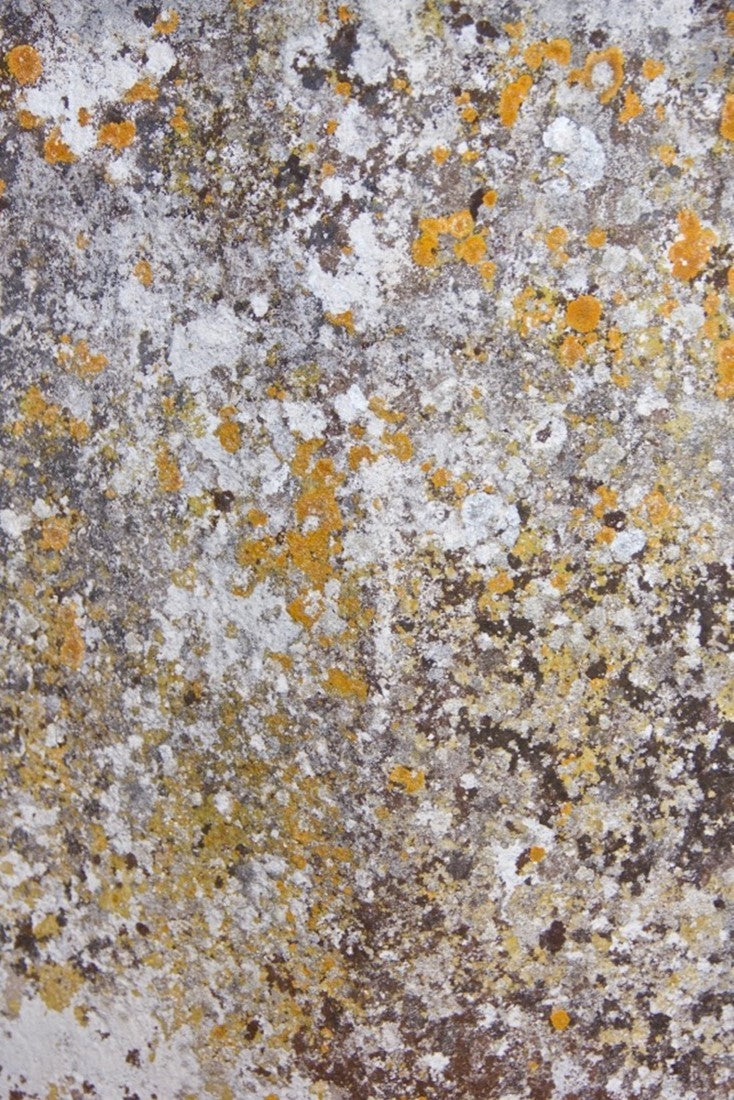 A limestone well head