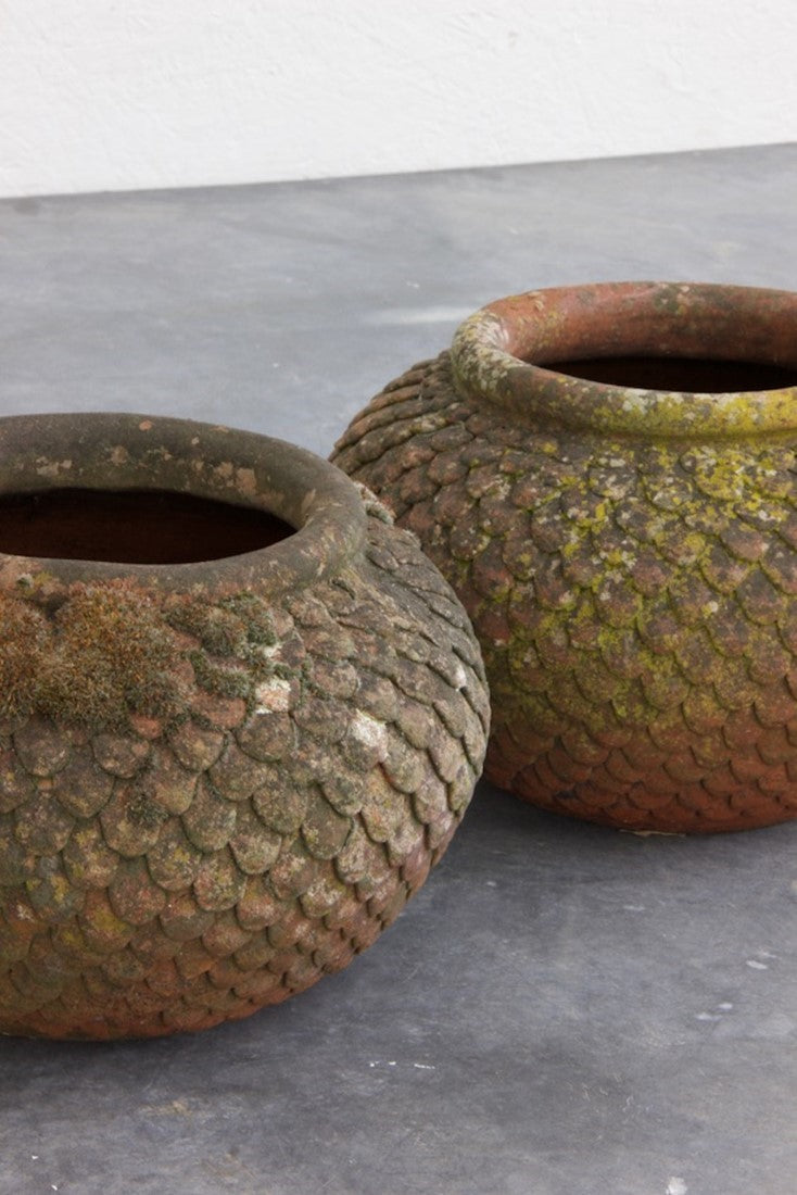 A pair of ‘Sibon’ terracotta pots