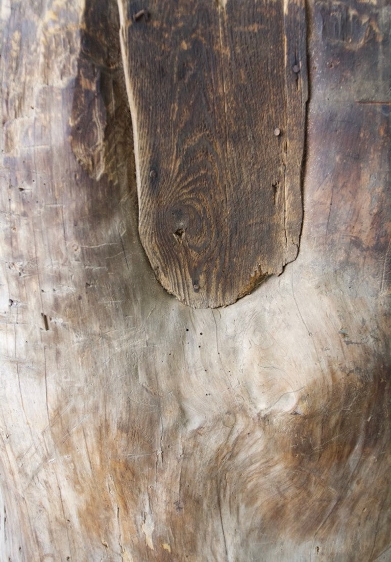 A tree trunk grain bin