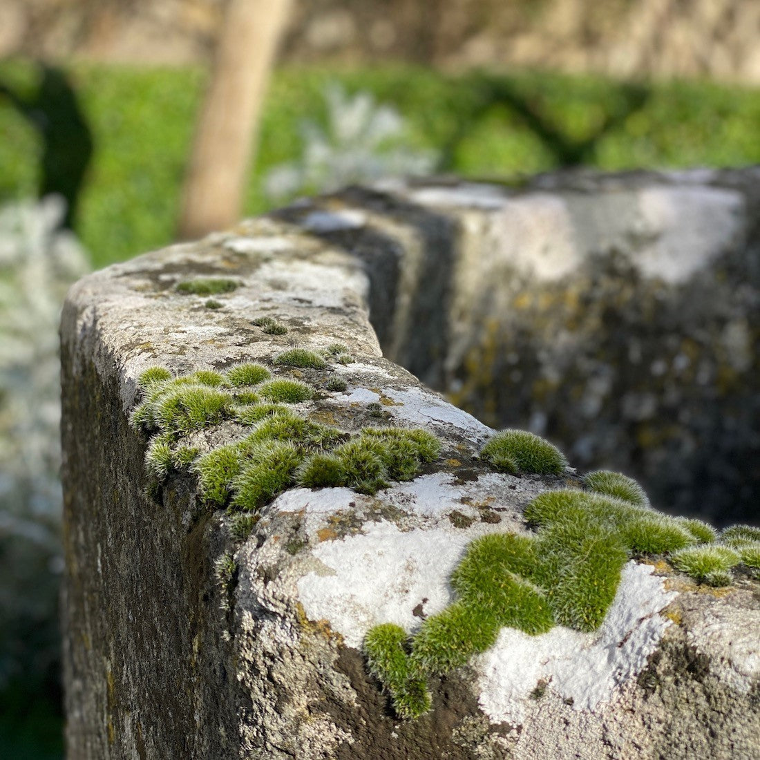 A limestone well head