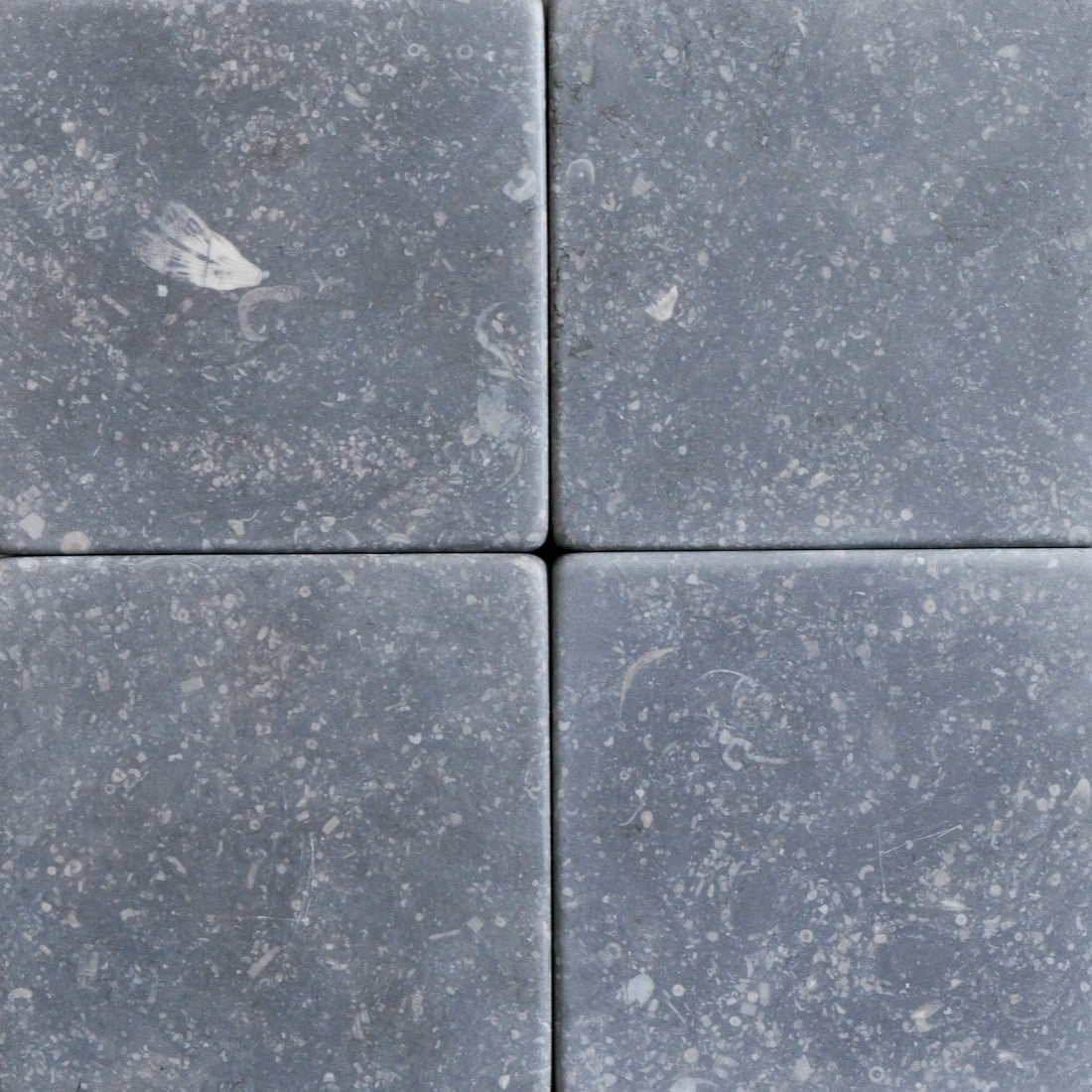 Honed Bluestone Finish