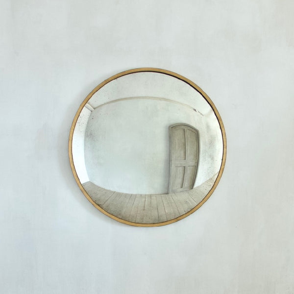 The oculus convex mirror